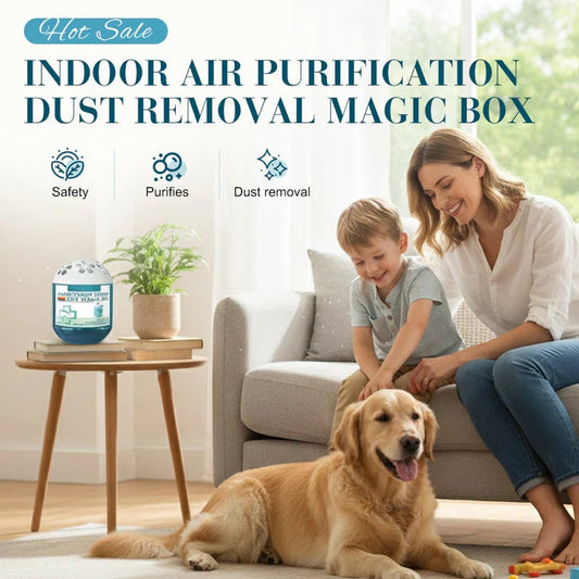 2026 New & Upgraded -- Indoor Air Purification Dust Removal Magic Box